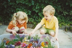 Two small children making a flower garden
